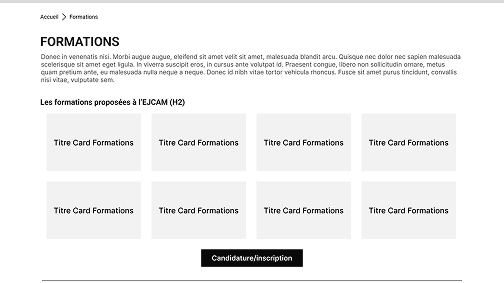Wireframe of the Programmes (Formations) page